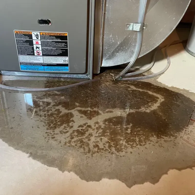 Appliance Leak Cleanup in Howland, ME